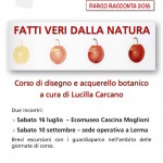 Copia di fatti veri dalla natura 2016